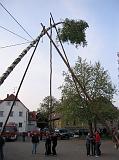 Maibaum 2009 181